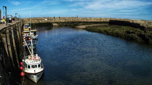 High angle view of boats moored at harbor against sky