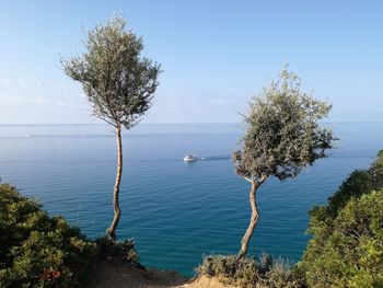 View of tree by sea against sky