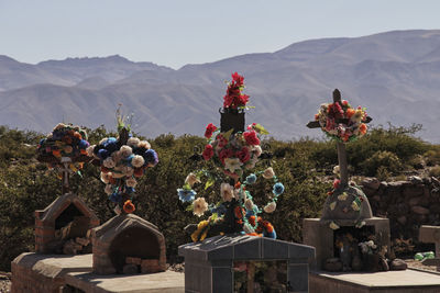 Statue by flowers against mountain range against clear sky