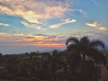 Low angle view of silhouette trees against sky