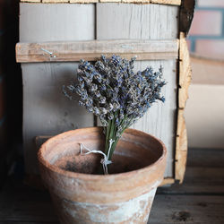 Close-up of dried plant in pot