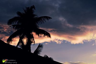 Silhouette palm trees against sky at sunset