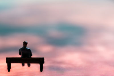 Rear view of woman sitting on seat against sea