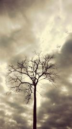 Low angle view of bare trees against cloudy sky