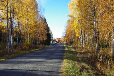 Road amidst trees during autumn