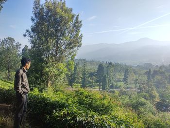 Man standing by tree against sky