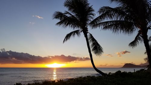 Silhouette palm tree by sea against sky at sunset