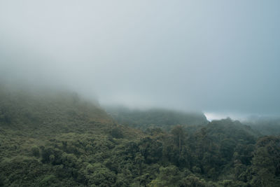 fog