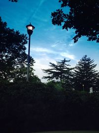 Low angle view of trees against sky