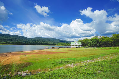 Scenic view of field against sky