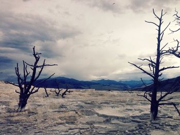 Scenic view of landscape against cloudy sky