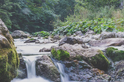 River flowing through rocks