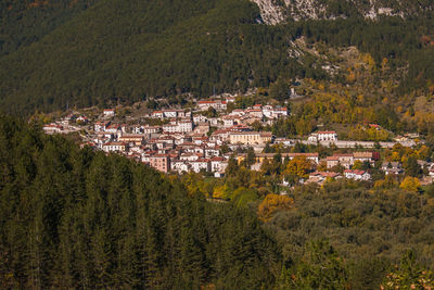 High angle view of townscape and trees in city