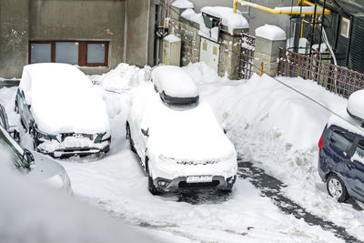 snow