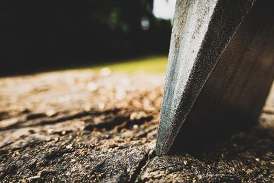 Close-up of rock on field