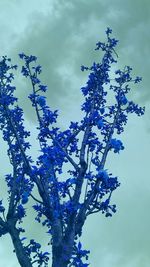 Low angle view of flowers against blue sky