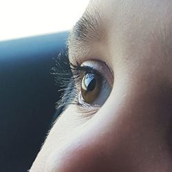 Close-up portrait of human eye