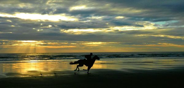 Silhouette of people on beach at sunset