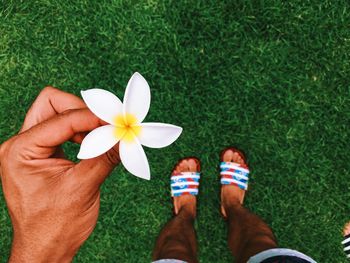 Low section of man holding white flower while standing on grassy field