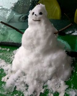 High angle view of rabbit in snow