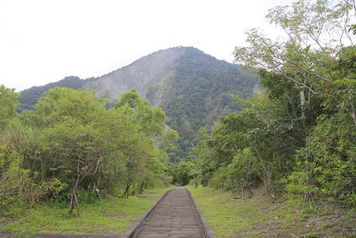 Dirt road amidst trees and mountains against sky