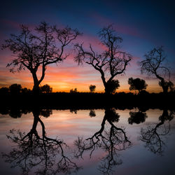 Silhouette bare tree by lake against sky during sunset