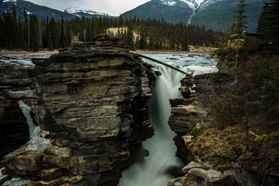 wilderness