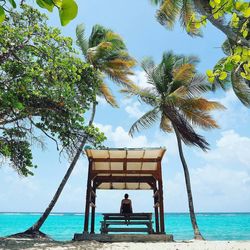 Rear view of woman overlooking calm blue sea