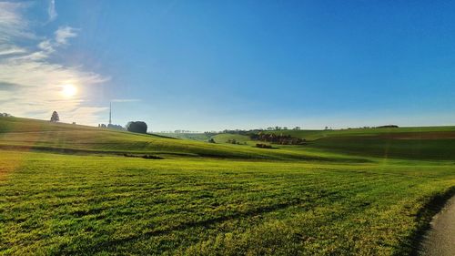 Scenic view of agricultural field against sky on a sunny day