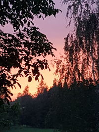 Low angle view of silhouette trees against sky at sunset