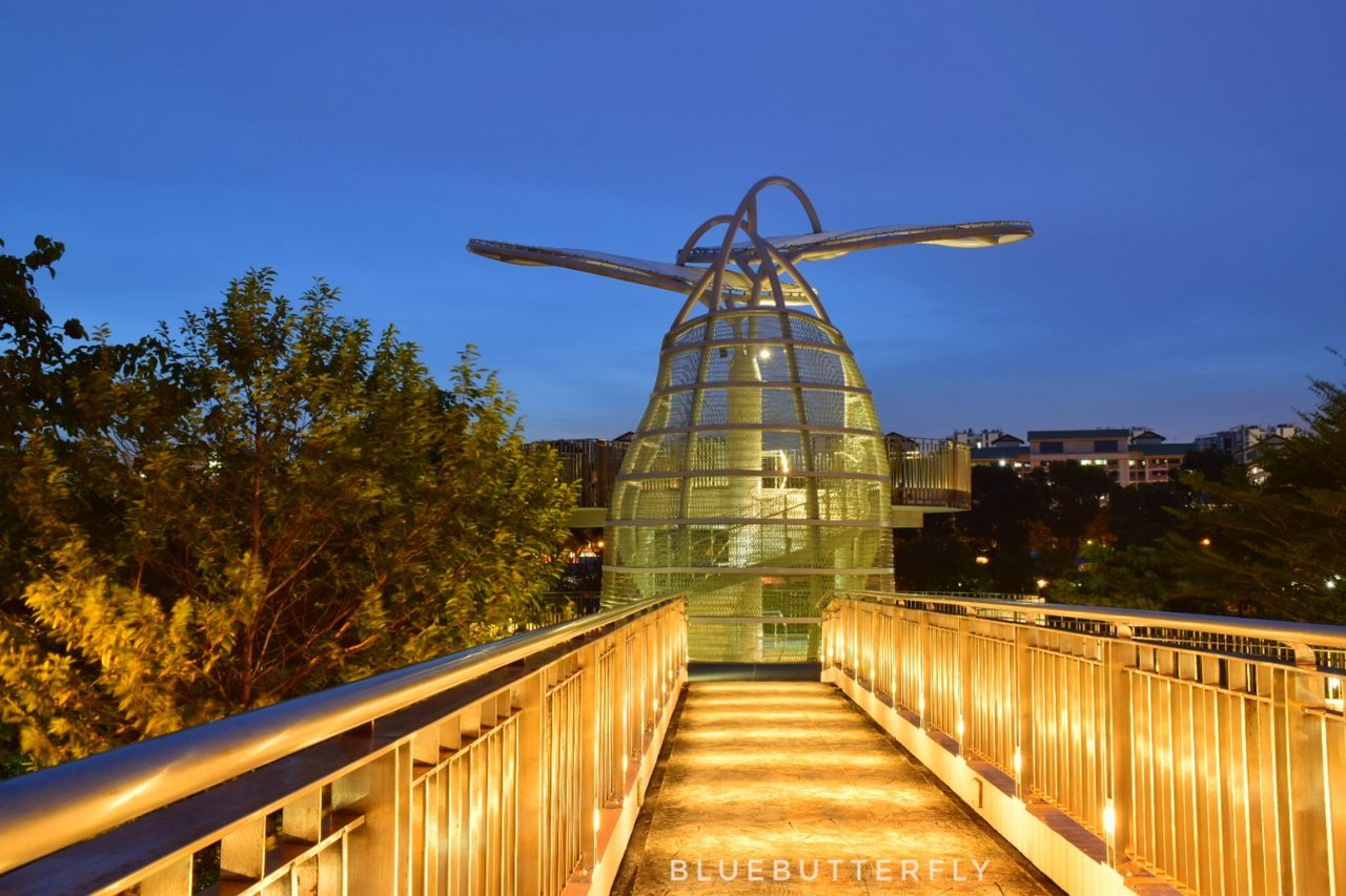 railing, built structure, architecture, tree, outdoors, no people, sky, nature, building exterior, day, illuminated, clear sky