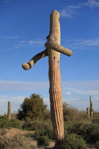 Low angle view of wooden post on field against sky