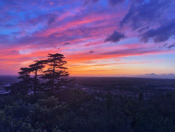 Silhouette tree against sky during sunset