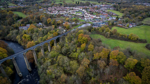 High angle view of vineyard