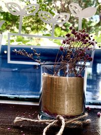 Close-up of potted plant on table