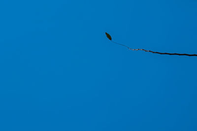 Low angle view of birds flying against clear blue sky