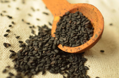 Close-up of seed falling from spoon