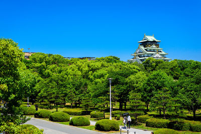 Plants by trees and building against clear blue sky