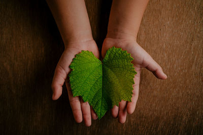 Midsection of woman holding leaf