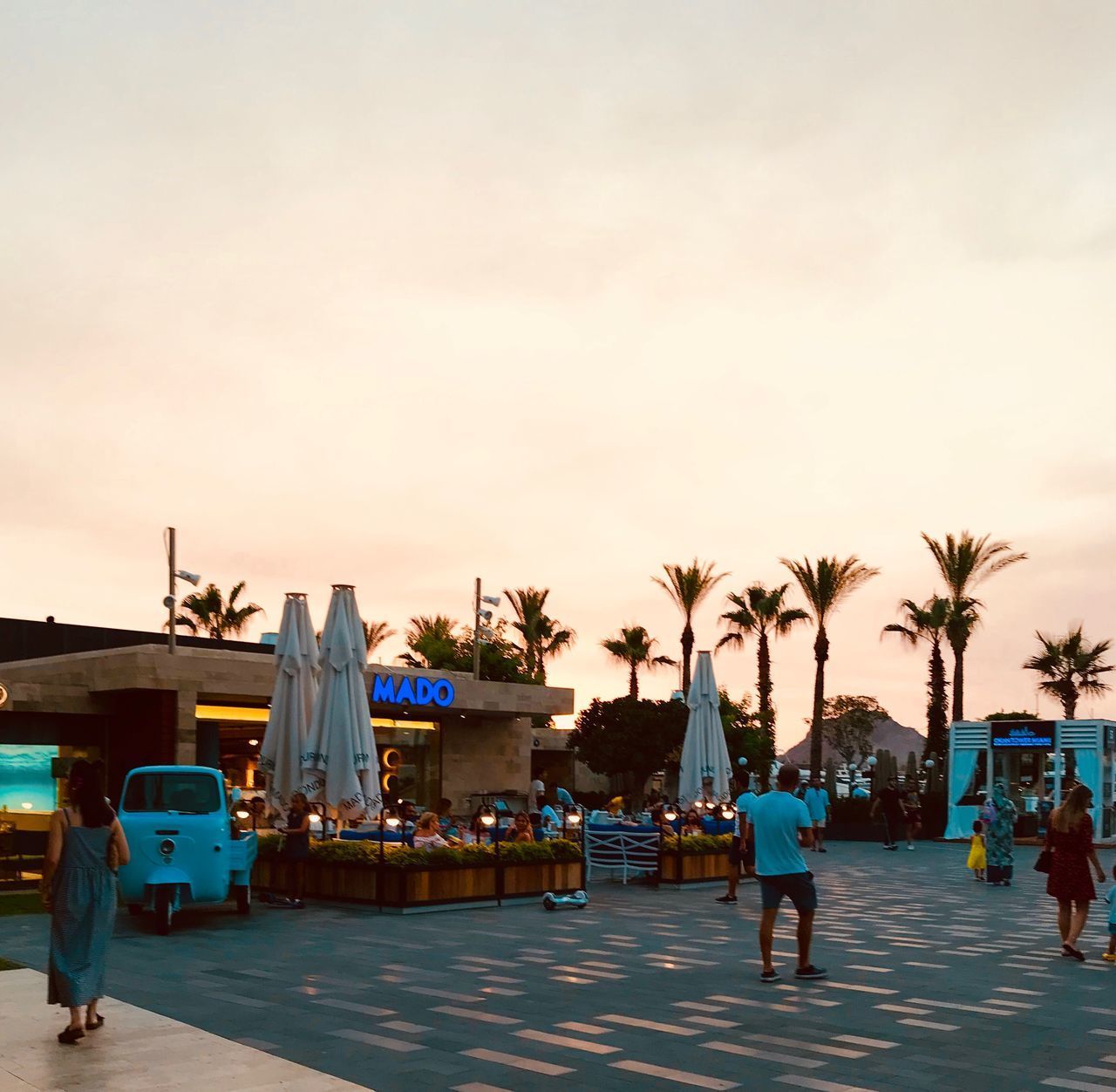 REAR VIEW OF PEOPLE WALKING ON PALM TREES AGAINST SKY