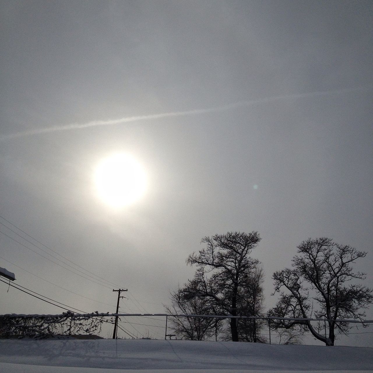 sun, built structure, snow, winter, architecture, sunlight, lens flare, sunbeam, cold temperature, sky, tree, low angle view, clear sky, building exterior, bare tree, nature, outdoors, street light, season, weather