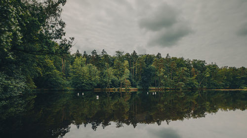 nature