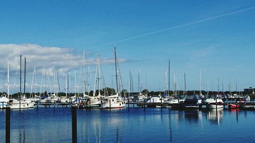 Sailboats moored in harbor against sky