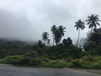 Scenic view of trees and mountains against sky