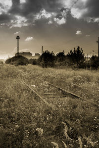 Field against sky