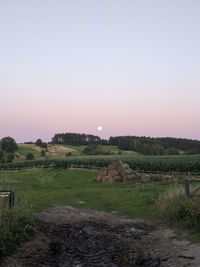 Scenic view of field against clear sky during sunset