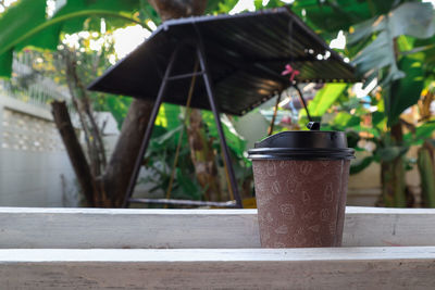 Close-up of potted plant