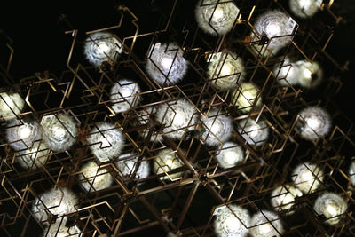 Close-up of birds on metal grate