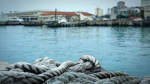 Close-up of boats in harbor