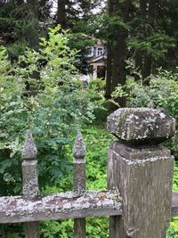 Stone structure against trees